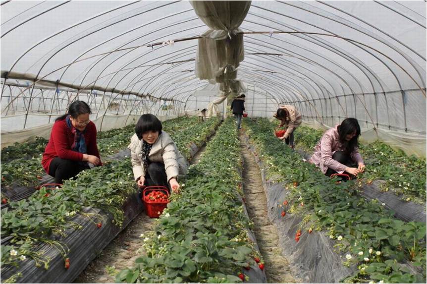 意昂体育2手机版图片